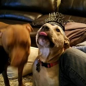 Meet your Posher, Tammy